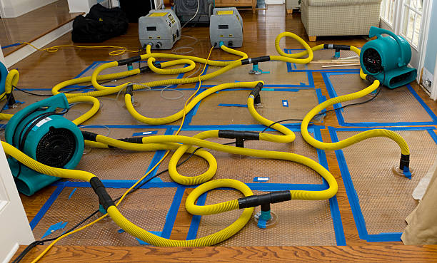 Professional Water Extraction technician working in Dunreith, IN